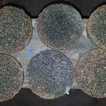 Casting Masters: CMT Metallurgy İç ve Dış Sanayi ve Tic. Ltd. Şti.